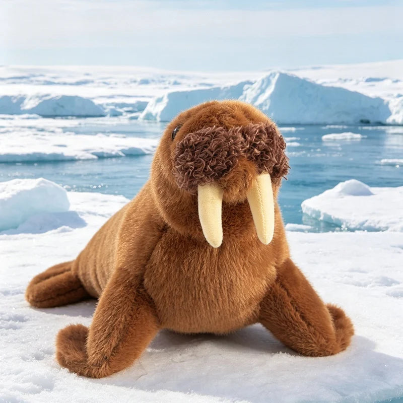 Walrus Plush – 37 cm — front view