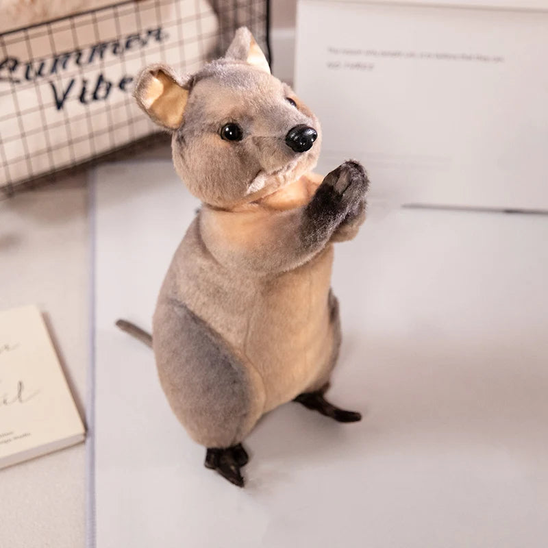 Standing Kangaroo Plush – 35 cm — front view